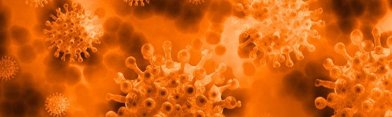 Corona Virus Antikörper Test